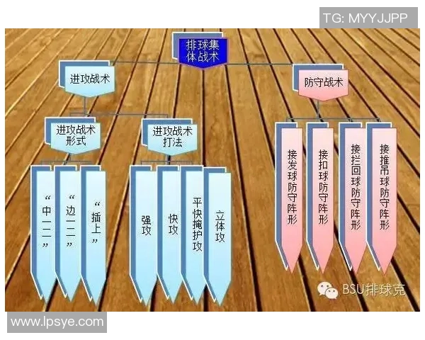 深入分析广州排球队中路突破战术的优势与应用策略